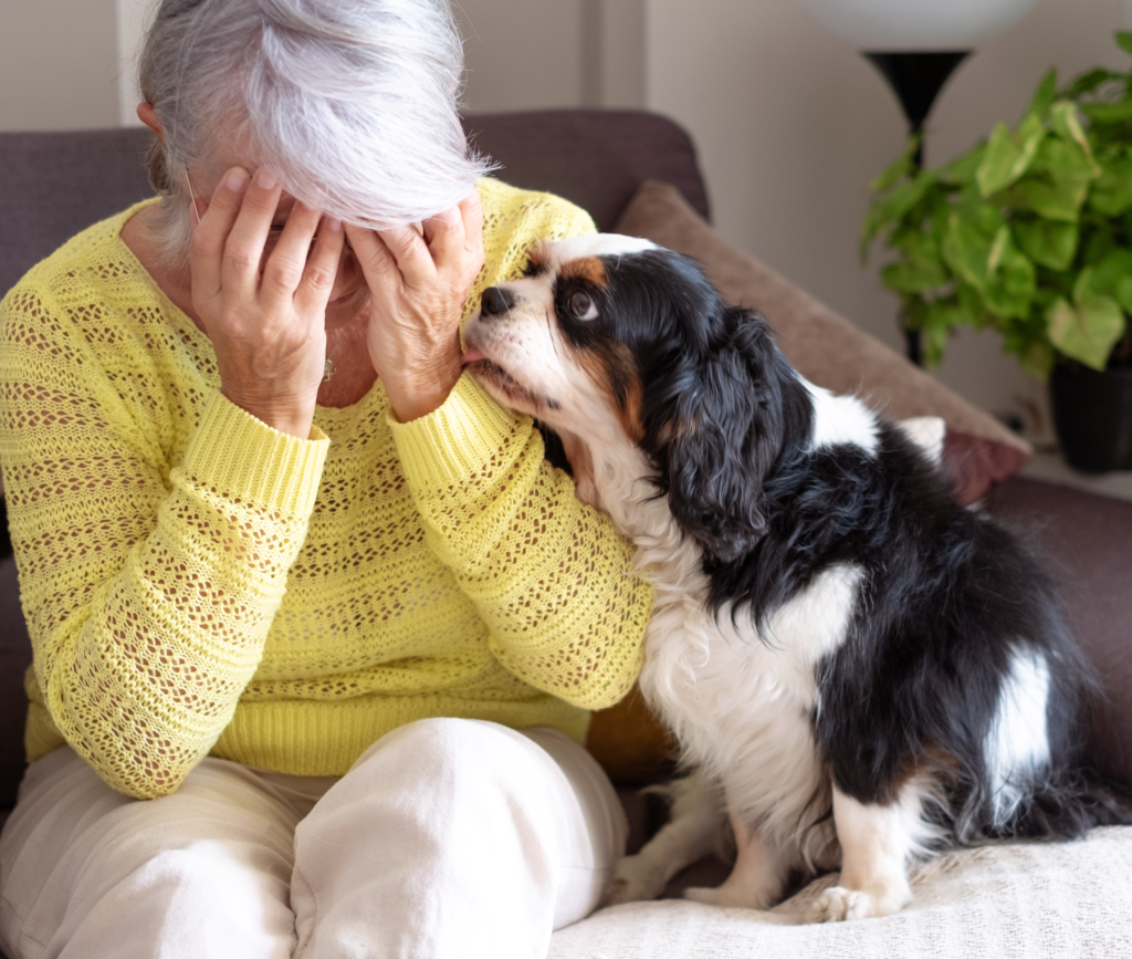 頭を抱える老女と犬