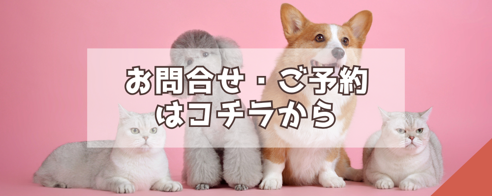 ペットシッターサービスのお問合せ・予約バナー