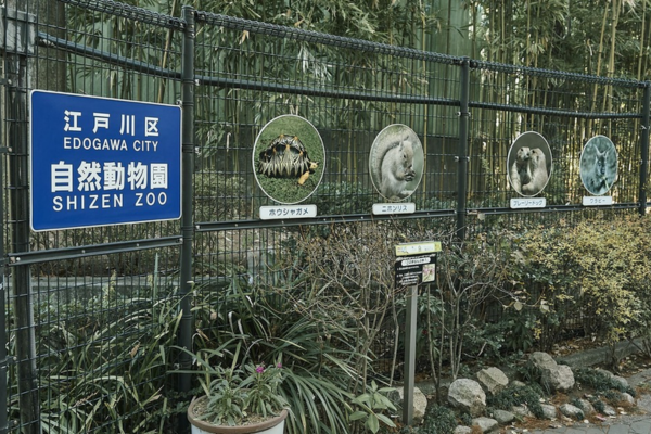 江戸川区立自然動物園