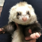 名称未設定のデザイン - 2025-12-09T193214.594