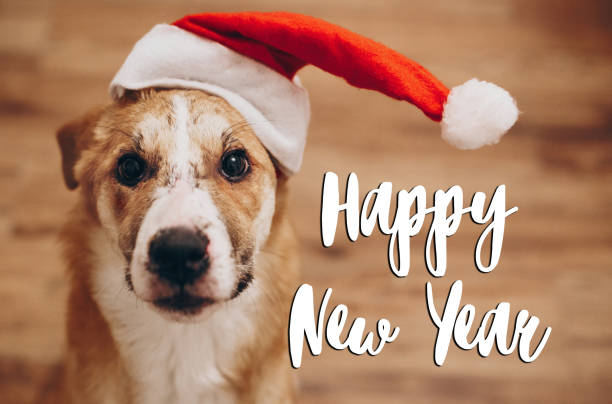 Happy New Yearのロゴと犬