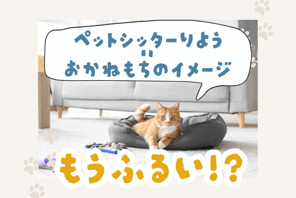 広い部屋の中でペットベッドの上に座る猫