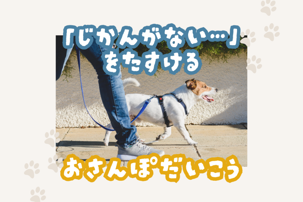 犬の散歩をするペットシッターの写真