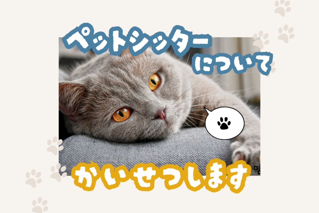 自宅でくつろぐ猫