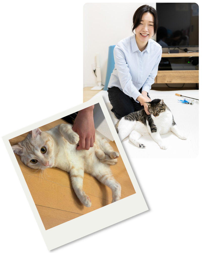 ご依頼のあったお宅で猫を撫でるペットシッター